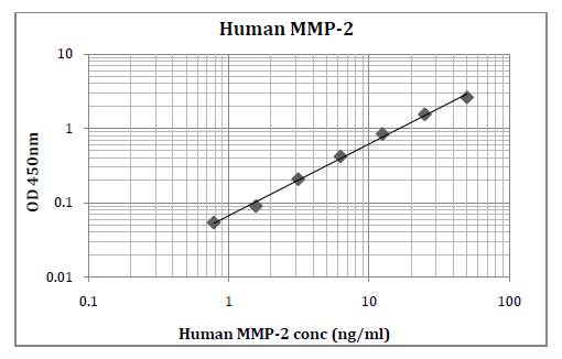 Human MMP-2 (Matrix Metalloproteinase 2) Pre-Coated ELISA Kit